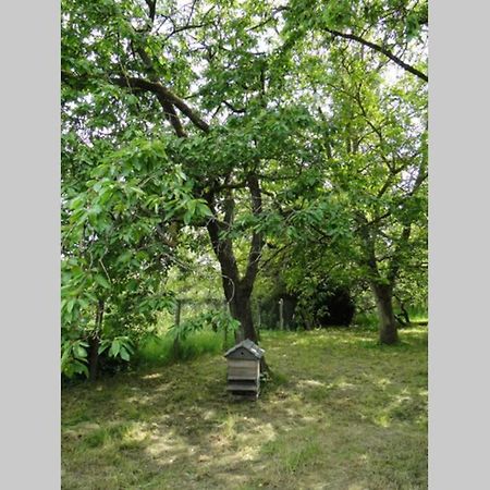 Miller'S Farm. Cottage On The Auhtie For 2 Hem-Hardinval Extérieur photo