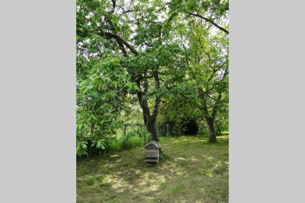 Miller'S Farm. Cottage On The Auhtie For 2 Hem-Hardinval Extérieur photo